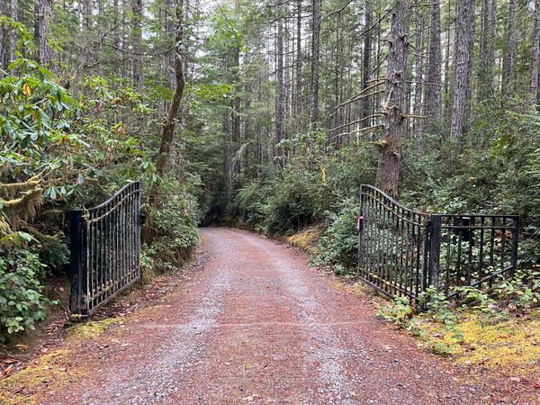 An iron gate is open on both sides of a gravel road heading down into a thick forest.