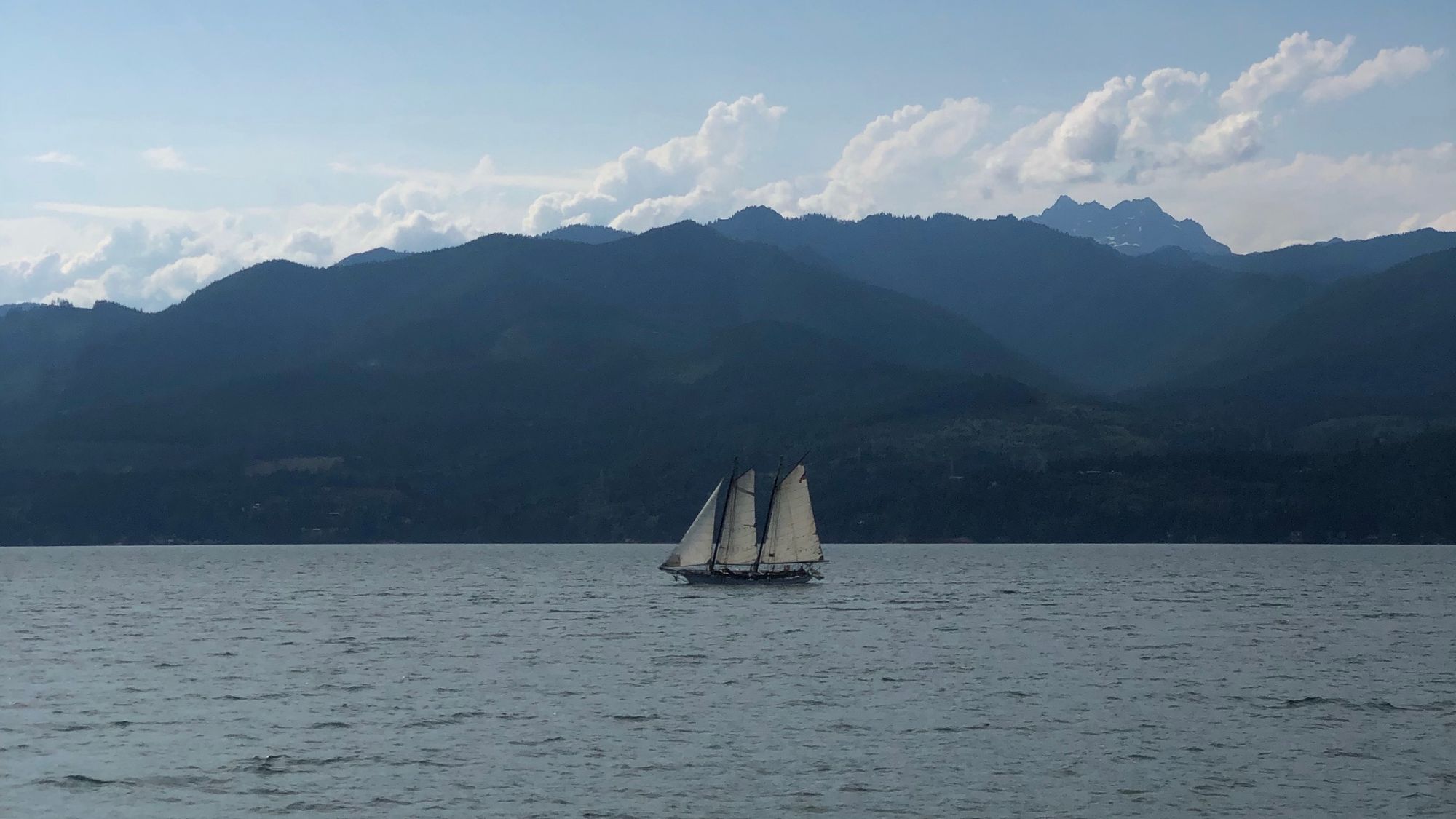 23 reasons to write online