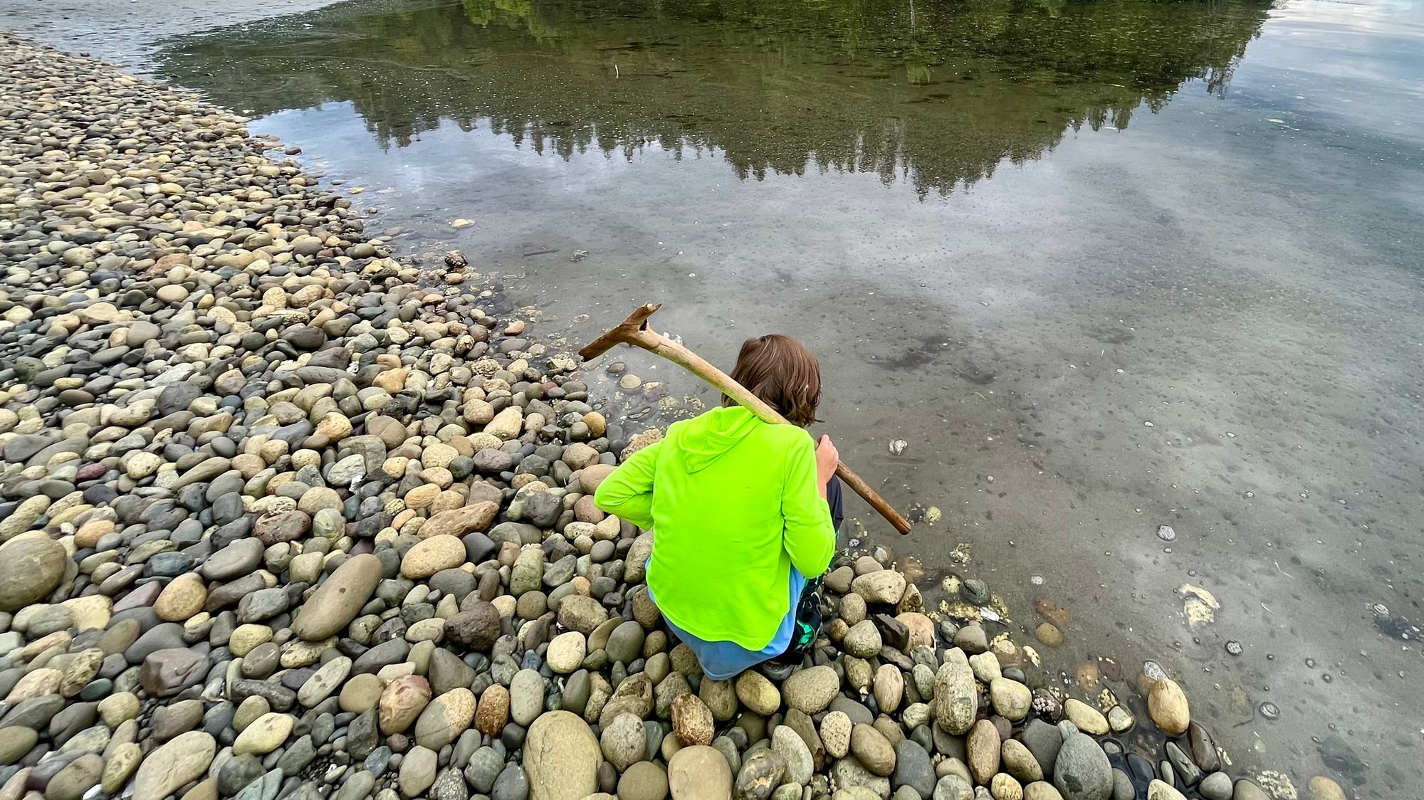 A child is squatting down on a rocky beach and staring intently into a stream.
