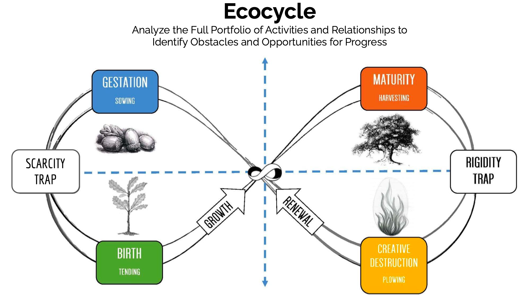 An eco cycle planning template, showing a figure-eight loop from birth, through maturity, to creative destruction, and back to gestation. At each state there is a drawing of a tree growing from an acorn into a large tree and then being harvested or burned at the end of its life.