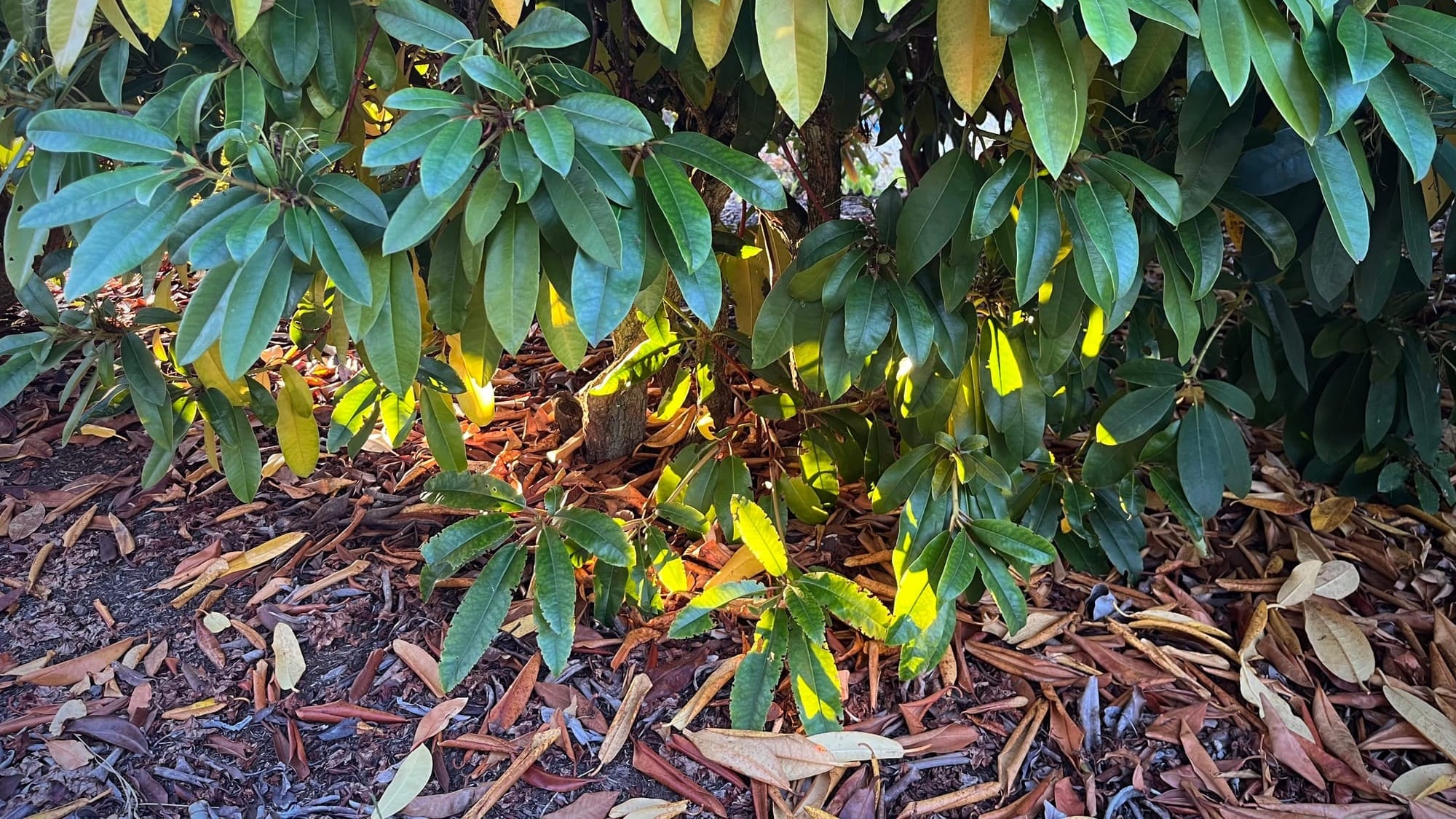 Monthly links & notes for October 2024