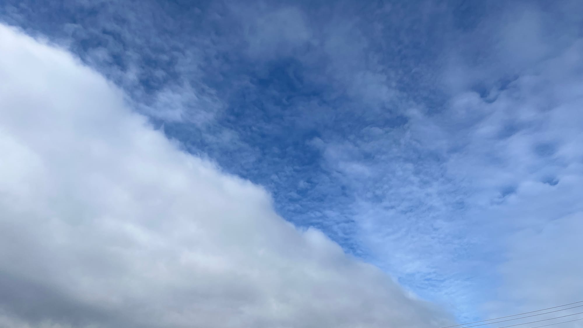 A real hoot: notes for May 2025