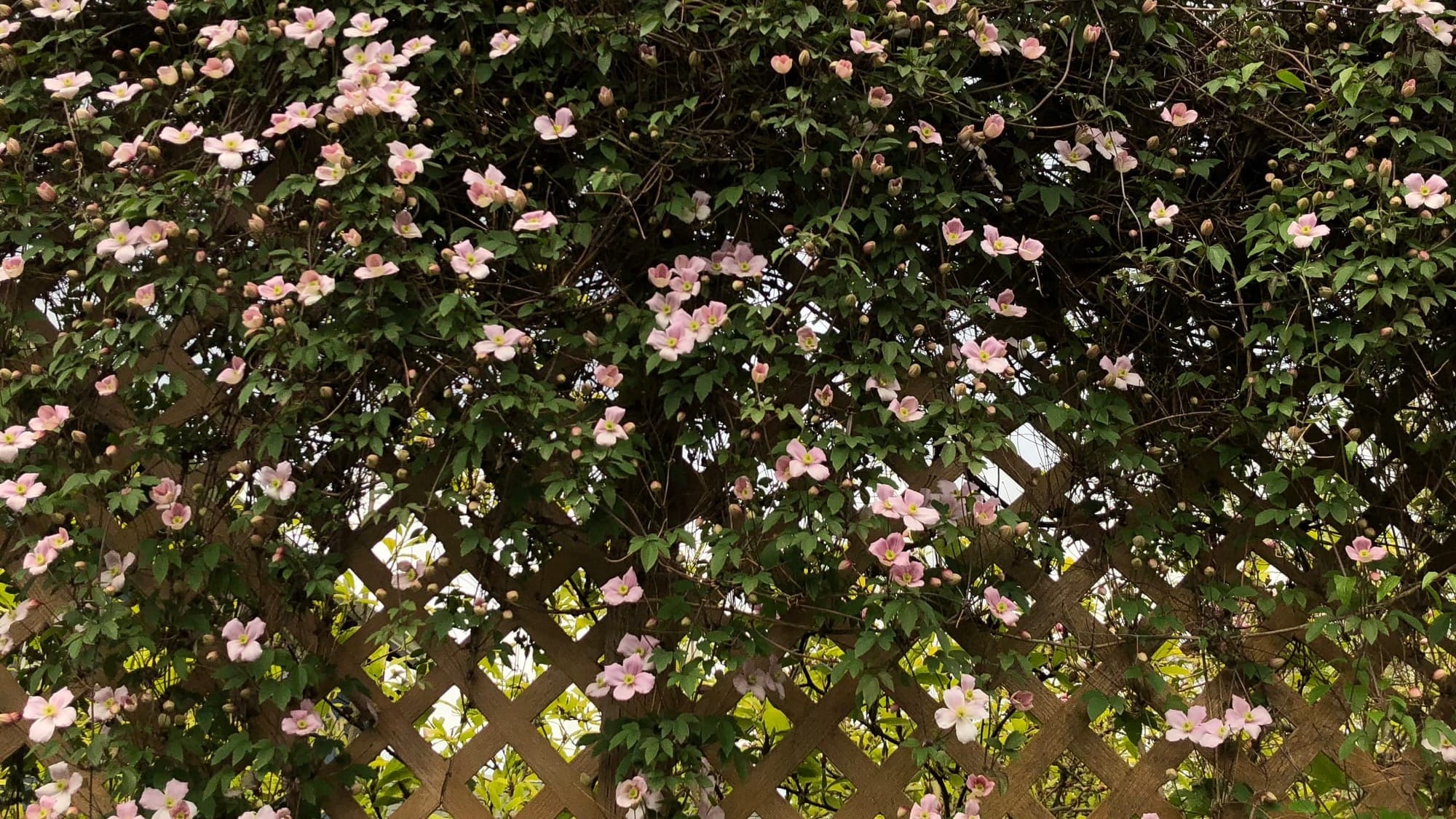 How to make any meeting better with 3 simple fenceposts