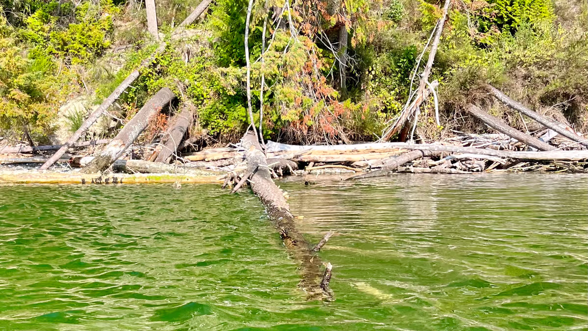 Noticing little things & little thinks Feature Image