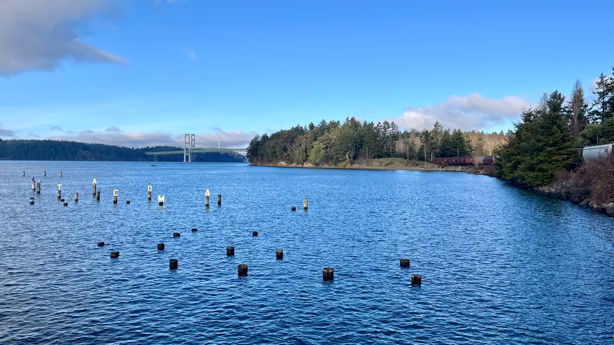 Monthly links & notes for January 2024 Feature Image