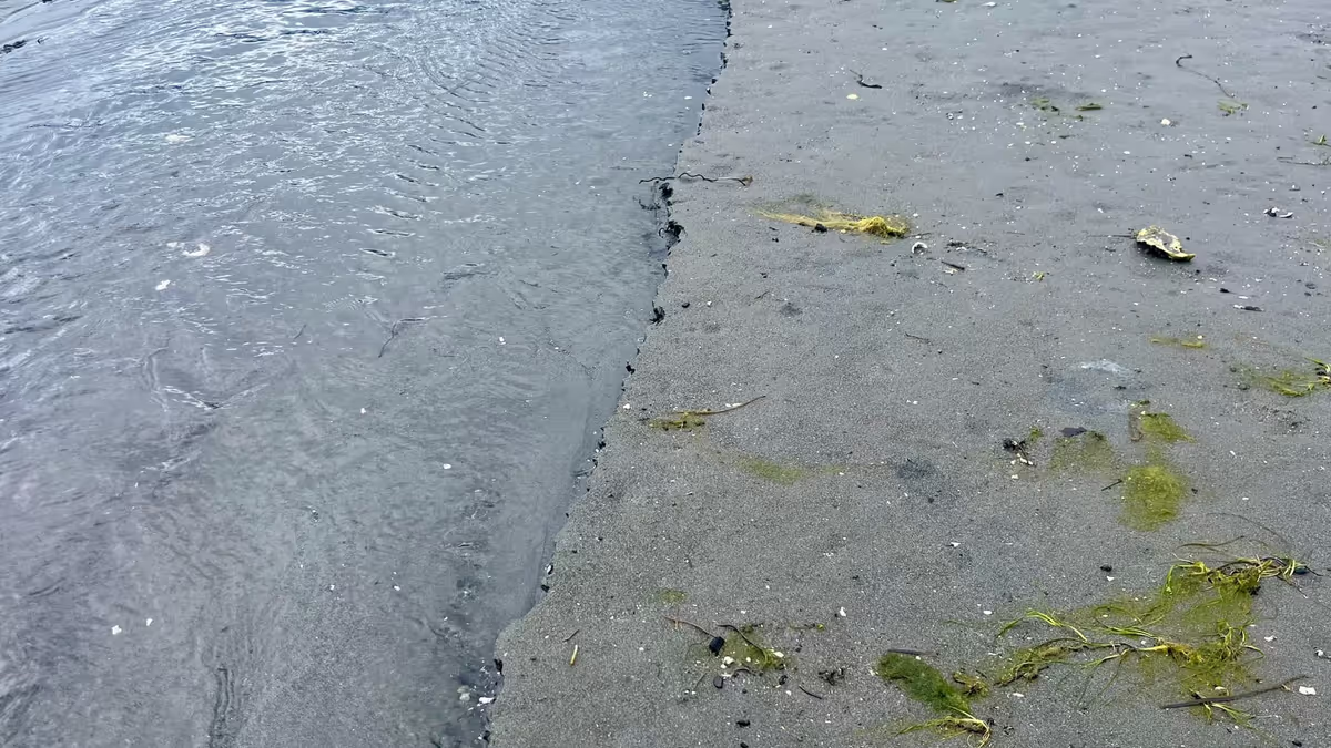 Monthly links & notes for June 2024 Feature Image