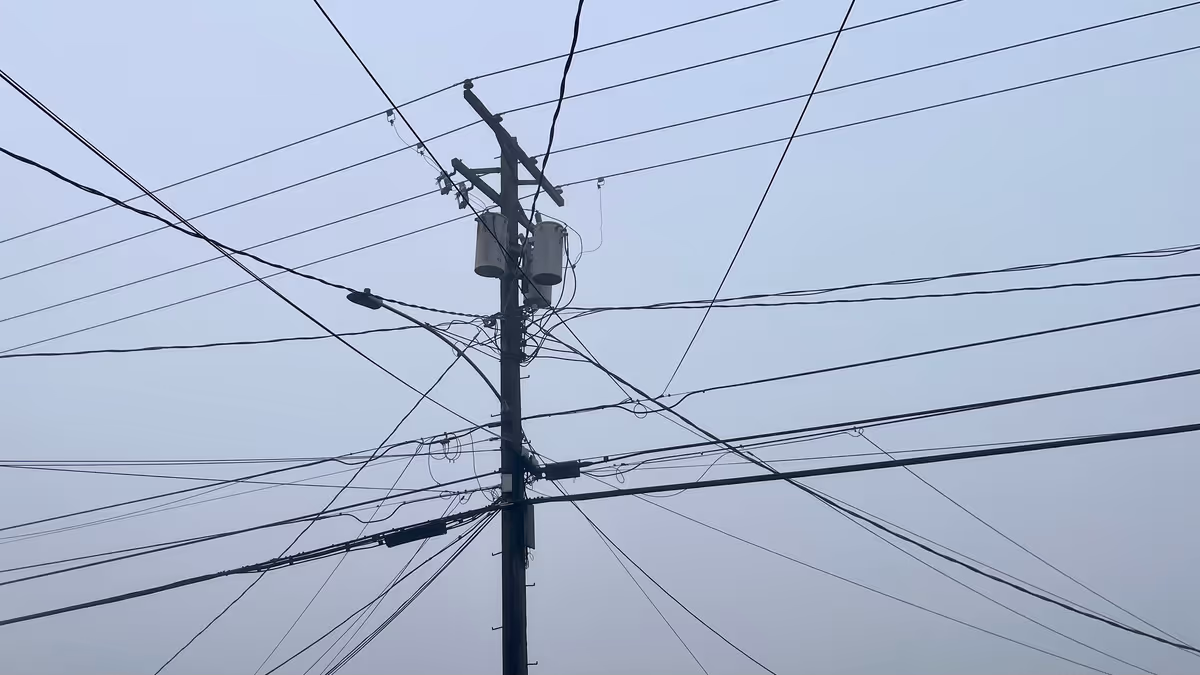 Monthly links & notes for November 2024 Feature Image