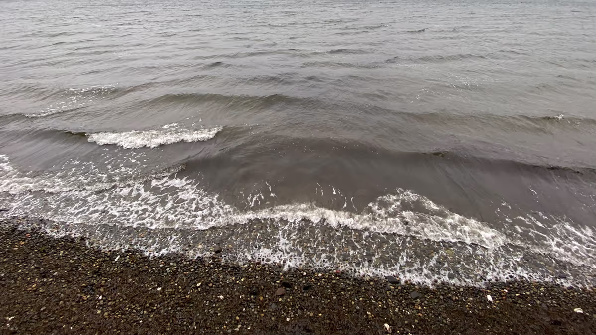 Monthly links & notes for December 2024 Feature Image