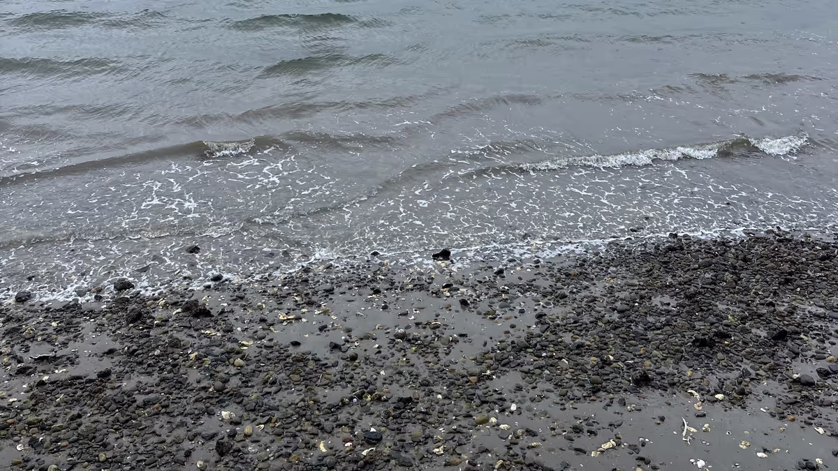 Why people work at cross-purposes & what to do about it Feature Image