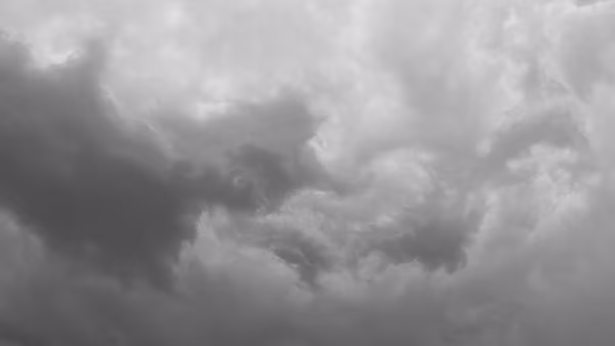 Monthly links & notes for March 2025 Feature Image