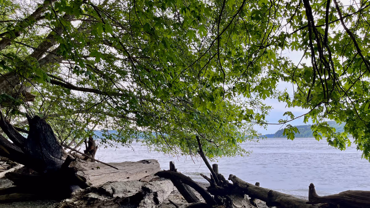 Downloads Feature Image