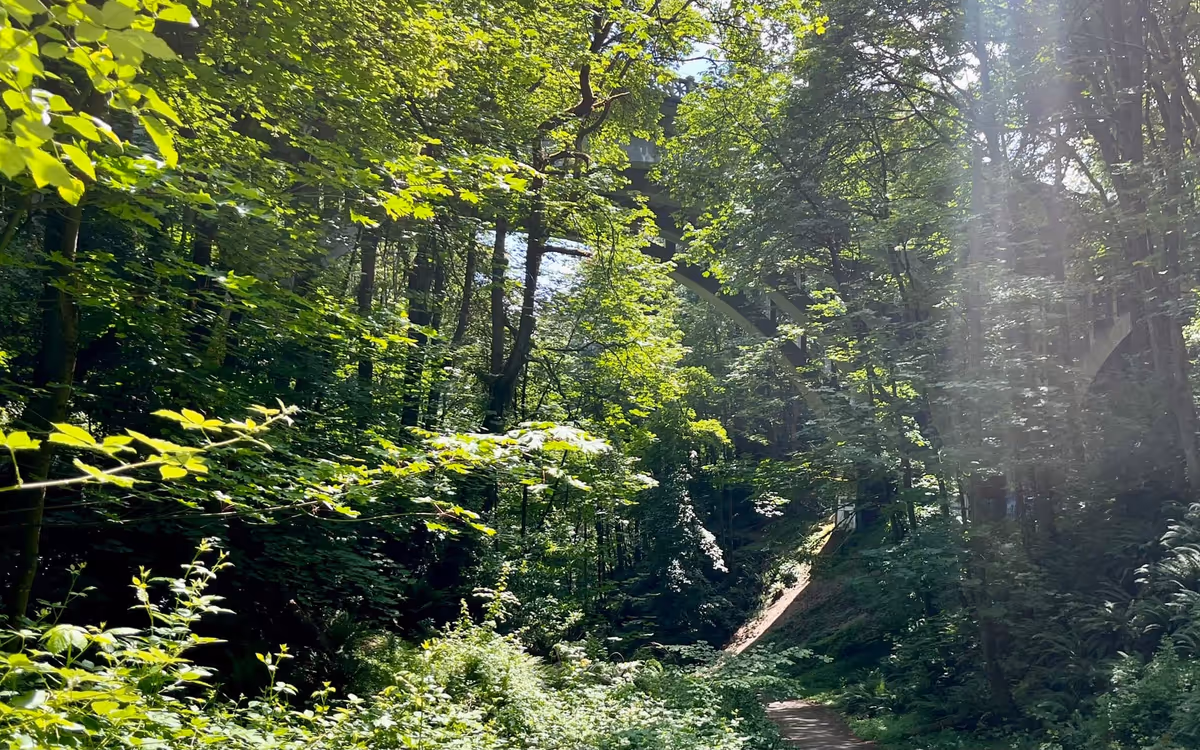 Premortem: before starting a new project, learn why it will end in failure Feature Image