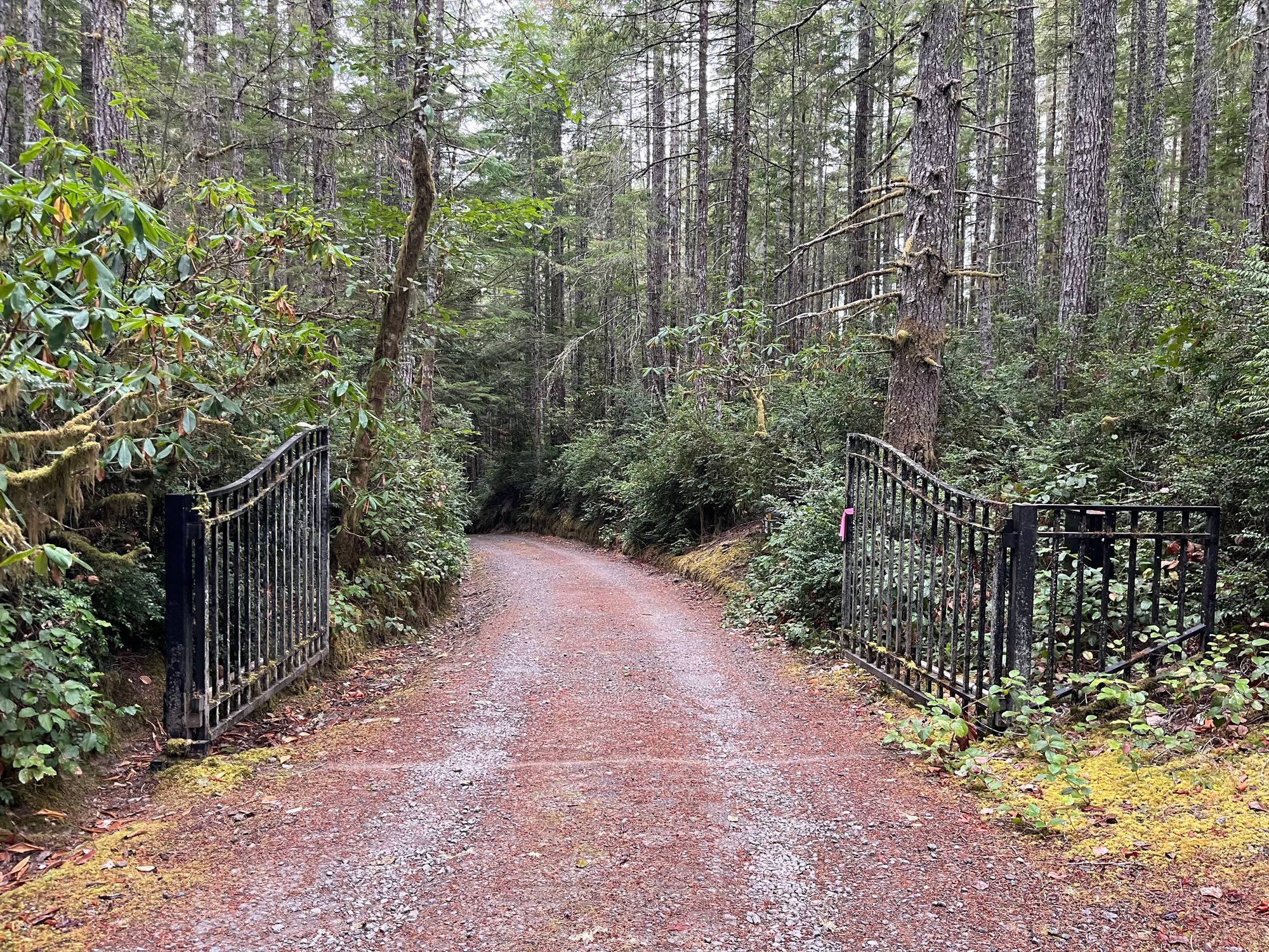 An iron gate is open on both sides of a gravel road heading down into a thick forest.