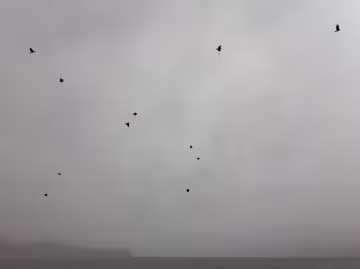 Using Liberating Structures to facilitate continuous improvement Feature Image