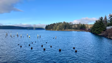 Monthly links & notes for January 2024 Feature Image