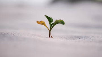 Premortem: before starting a new project, learn why it will end in failure Feature Image