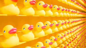 Options & set-based design Feature Image