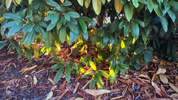 Monthly links & notes for October 2024 Feature Image