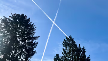 You only take what you bring: notes for April 2025 Feature Image