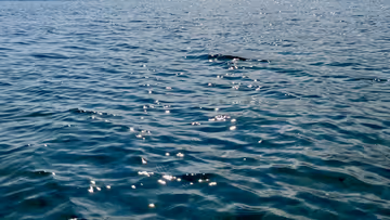 Credit for success belongs to my clients. Blame failures on me Feature Image