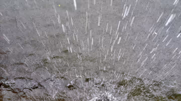 A choice to counter culture: notes for November 2025 Feature Image