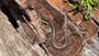 On speeding things up Feature Image