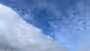 A real hoot: notes for May 2025 Feature Image